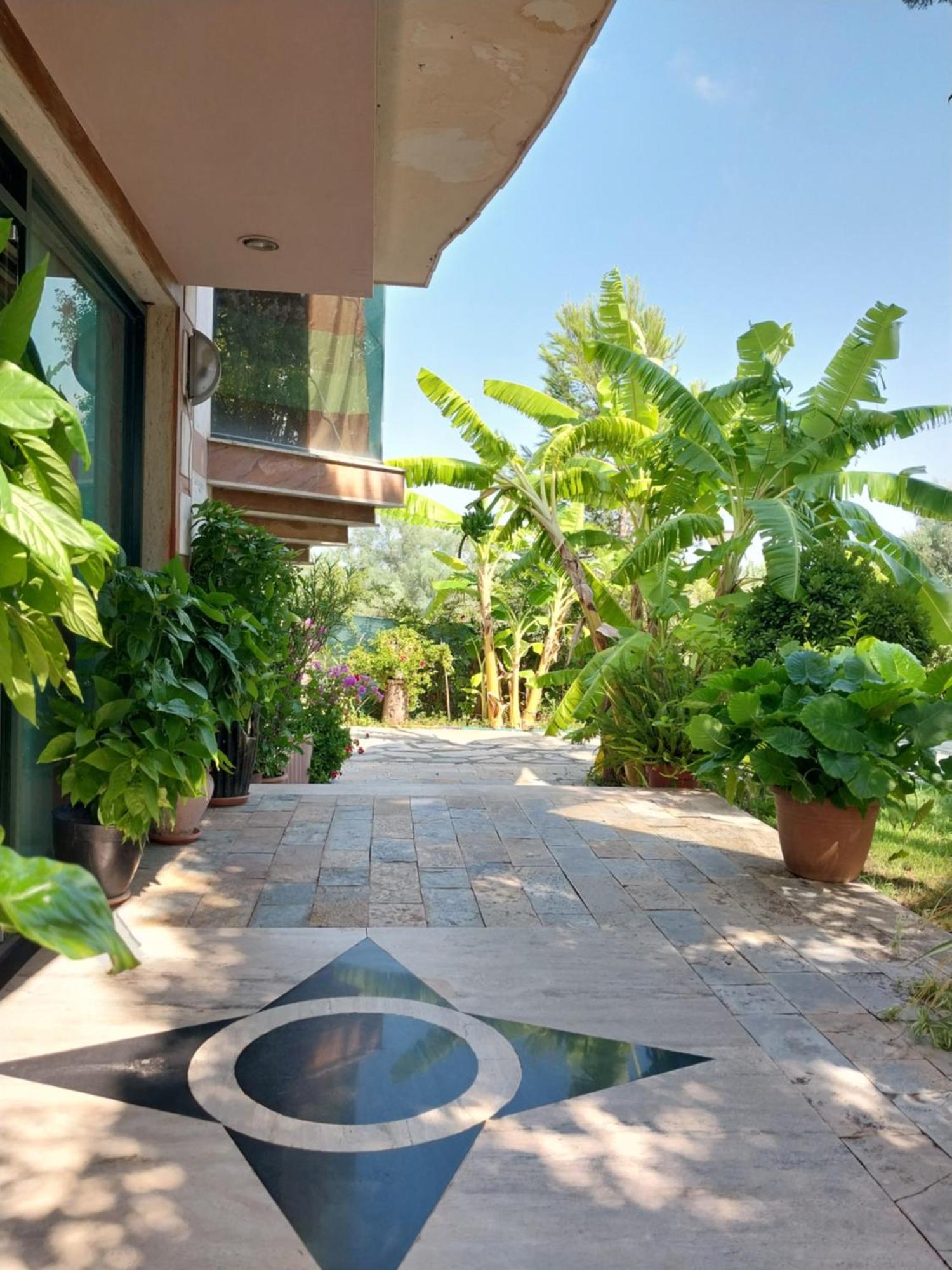 Hotel Different Divjake Ngoại thất bức ảnh